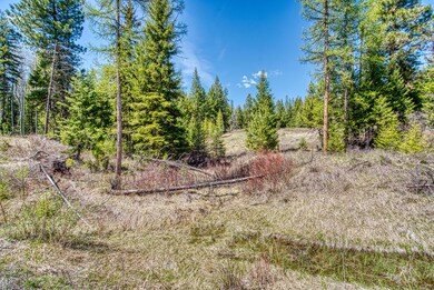 80 Blaney Ln, Kila, MT 59920 - photo 5