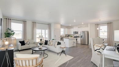 1073 Brink St, Brighton, CO 80603 - photo 5