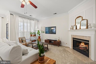 1724 Osage St unit 304, Alexandria, VA 22302 - photo 6