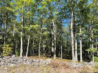 Lot 36 Mt Shadow Ln & Roosie Rd, Bushkill, PA 18324 - photo 6