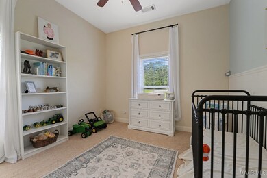 231 Chesson Ct, Fitzpatrick, AL 36029 - photo 7