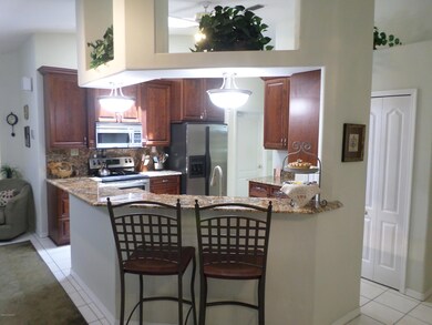 Kitchen View 1