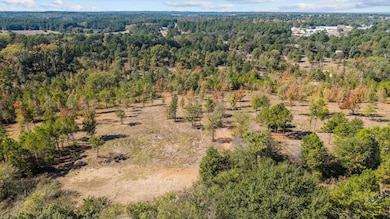 TBD County Road 4112 Lot 2, Lindale, TX 75771 - photo 5