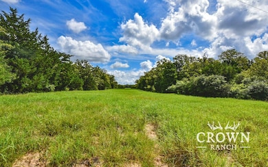 Tbd Fm 908 (+ -1 unit 57 acres, Caldwell, TX 77836 - photo 6