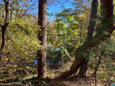 7022 Thomas Jefferson Pkwy, Palmyra, VA 22963 - photo 6