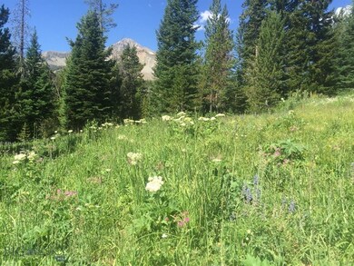 TBD White Otter Rd, Big Sky, MT 59716 - photo 2