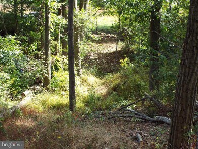 NS Fort Swatara Rd, Jonestown, PA 17038 - photo 5