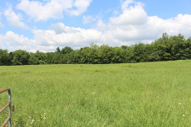 3886 Manchester Pike, Murfreesboro, TN 37127 - photo 6