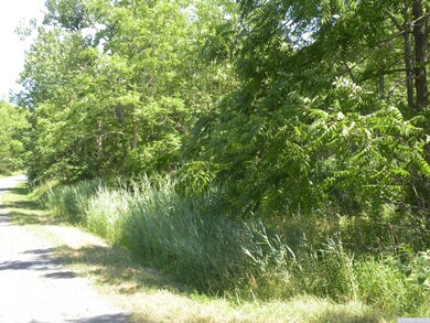 0 Adams Rd unit 144252, Coxsackie, NY 12051 - photo 5