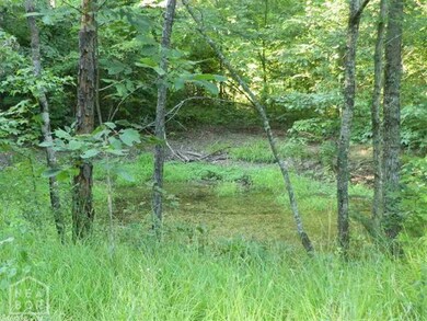 4577 Greene 609 Rd, Paragould, AR 72450 - photo 6