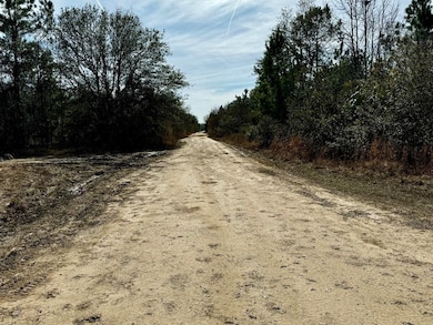 Vacant 1 62 Rd, Lamont, FL 32336 - photo 2