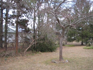 IMG_3625[1]