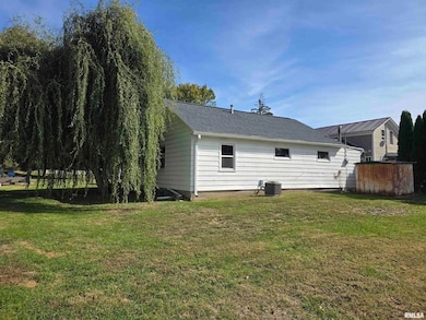 306 8th Ave S, Albany, IL 61230 - photo 2