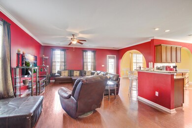 132 Carolina Wren Moncks Corner SC (1) (