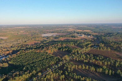 9283 Tallokas Rd unit 54/13, Pavo, GA 31778 - photo 3