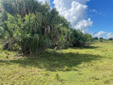 Tbd Antoinette Rd, Loxahatchee, FL 33470 - photo 4