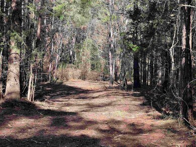 TBD County Road 2921, Hughes Springs, TX 75656 - photo 6