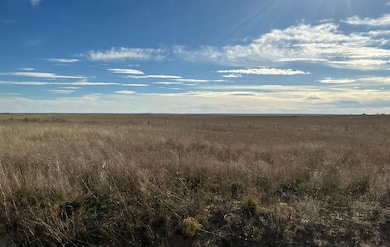 Road 146, van Tassell, WY 82225 - photo 5