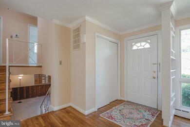 13010 Estelle Rd, Silver Spring, MD 20906 - photo 4