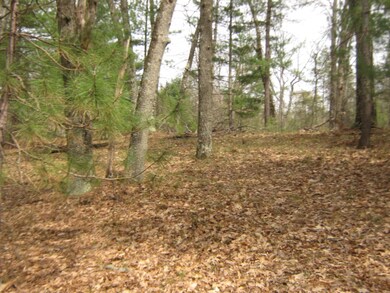 0 Rose St S unit 15022261, Idlewild, MI 49642 - photo 3