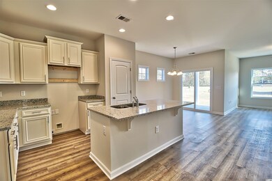 236 Red Maple Loop unit Lot 13 Model Darcy C, Longs, SC 29568 - photo 5