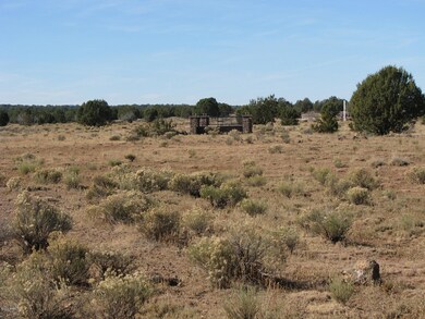 80 Cattle Dr, Ash Fork, AZ 86320 - photo 6