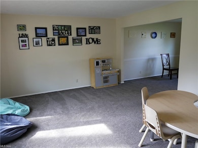 Living room with newer carpeting.  All carpeting w