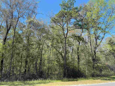 xx Spring Creek Hwy, Crawfordville, FL 32327 - photo 4