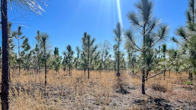 Mt Pisgah Road C SC Land for Sale-10