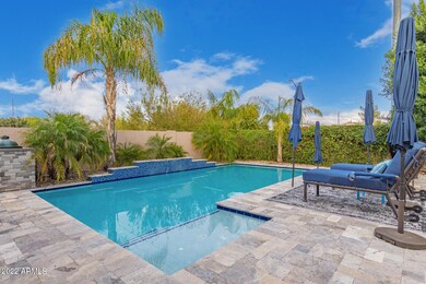 Gorgeous Backyard
