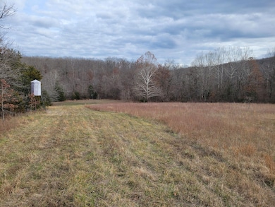 0 Minnow Branch Rd, Buffalo Township, MO 65078 - photo 2