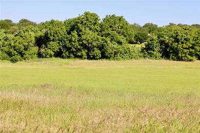 Tract 1 Fm 1810, Decatur, TX 76234 - photo 3