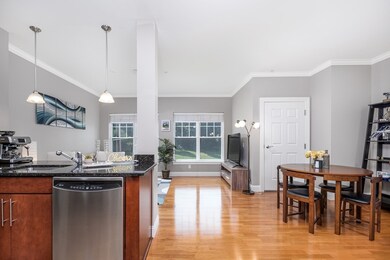 35 Commonwealth Ave unit 202, Chestnut Hill, MA 02467 - photo 6