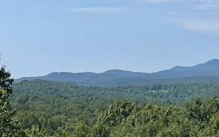 Additional View