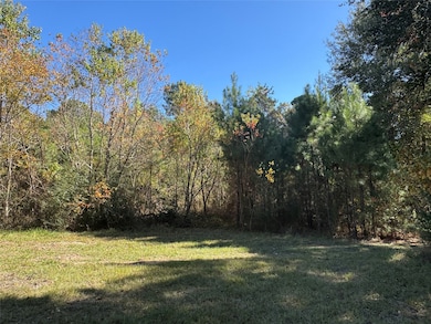 24879 Macedonia Rd, Hockley, TX 77447 - photo 4