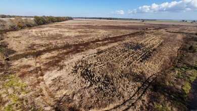 681 Main St, Knobel, AR 72435 - photo 5