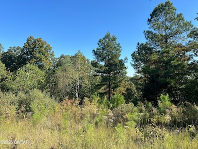 Lot 21 Peregrine Place, Cedar Grove, TN 38388 - photo 3