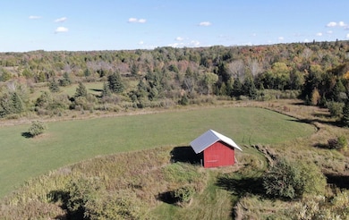 24191 E Aalto Rd, Covington Township, MI 49919 - photo 7