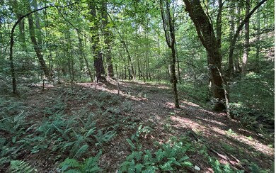 Additional View