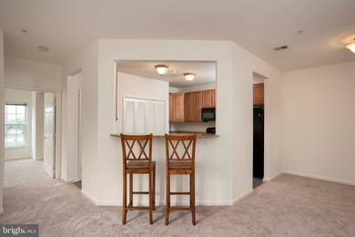 7210 Darby Downs unit G, Elkridge, MD 21075 - photo 7