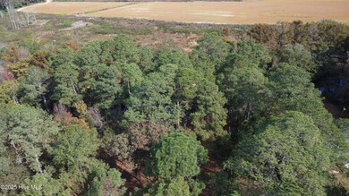 254 Falling Creek Ln, Goldsboro, NC 27530 - photo 7