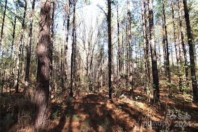 7+/- AC LOT 3 Hartness Rd, Clover, SC 29710 - photo 3