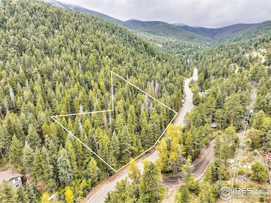 10862 Twin Spruce Rd, Coal Creek Canyon, CO 80403 - photo 7