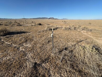 007. 2 Acre - SouthWest Property Marker