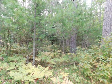 Lot 26 McCarthy Lake Rd, Tomahawk, WI 54487 - photo 5