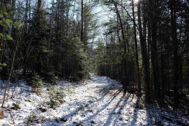 5-23 N Littleton Rd, Littleton, NH 03561 - photo 5