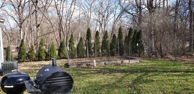 Yard/Garden