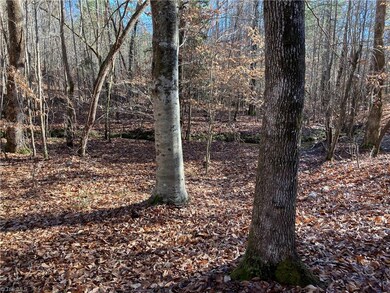 0 Nc Highway 134 N unit 1054741, Star, NC 27375 - photo 2