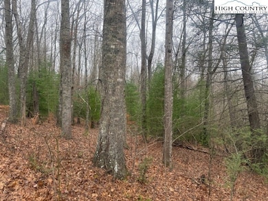 TBD Clearview Ridge, Crumpler, NC 28617 - photo 4