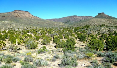 AZ land valley photo 12x7 200dpi 2